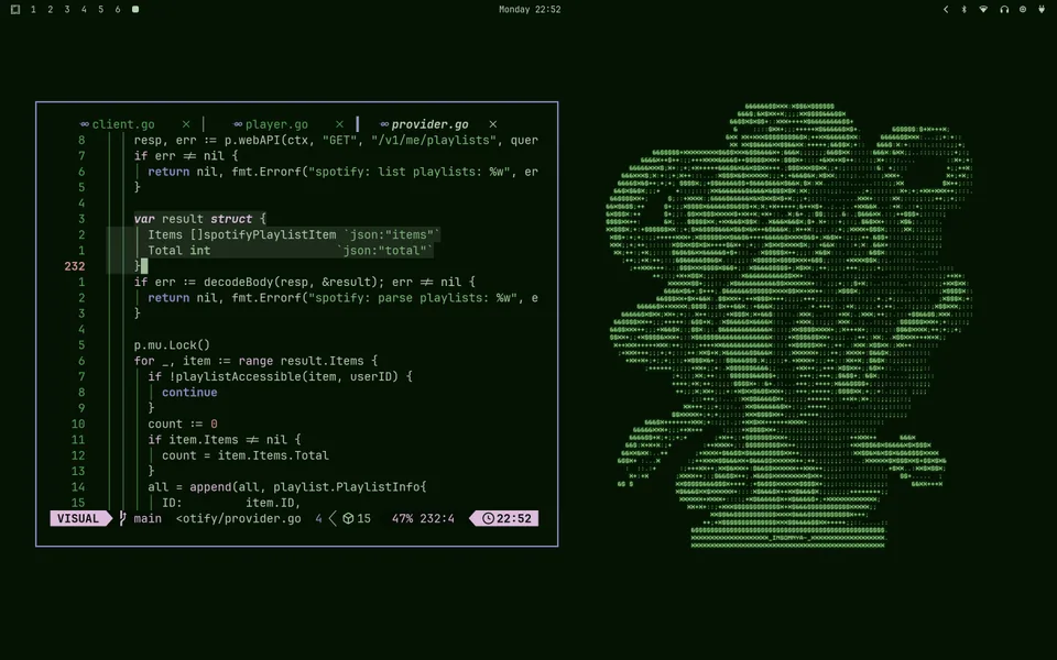 Medusa screenshot as published by bjarneo